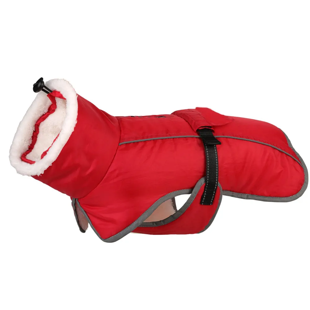 French Bulldog Reflective Coat with Adjustable Buckle and Fleece Turtleneck