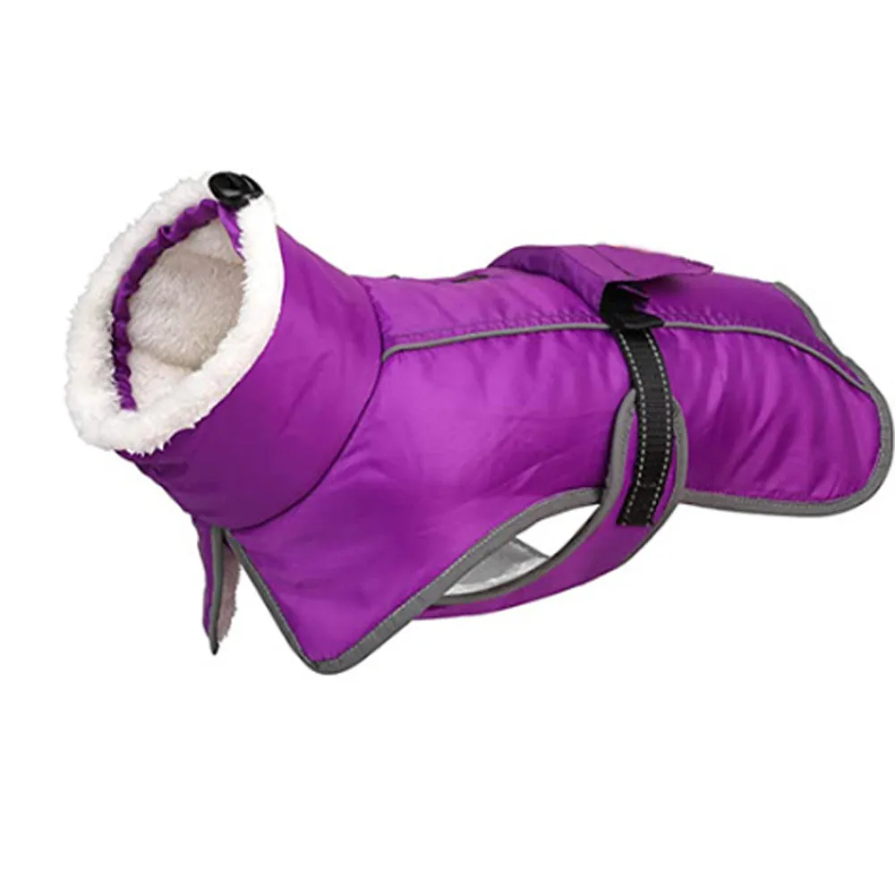 French Bulldog Reflective Coat with Adjustable Buckle and Fleece Turtleneck