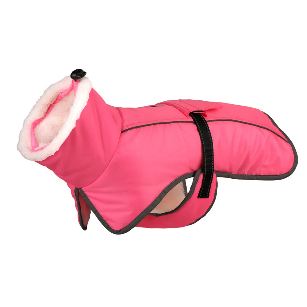 French Bulldog Reflective Coat with Adjustable Buckle and Fleece Turtleneck