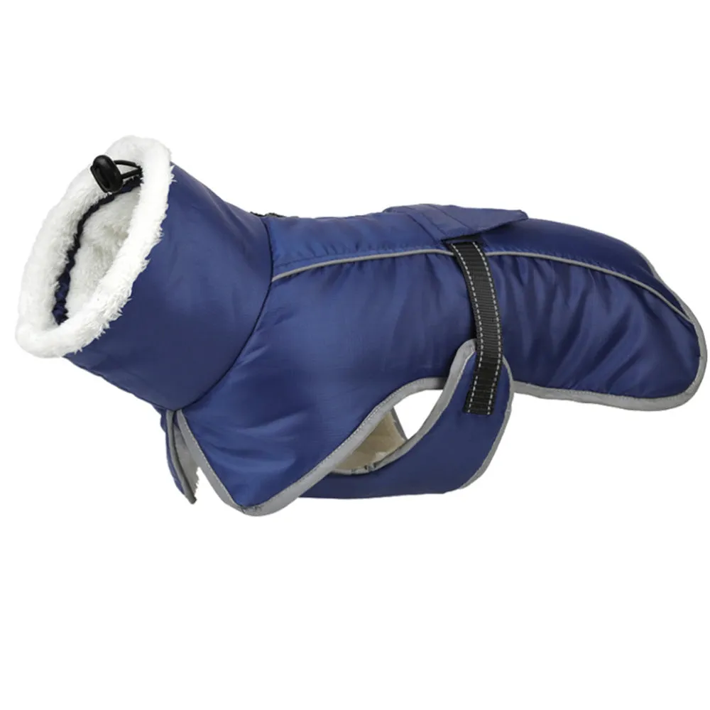 French Bulldog Reflective Coat with Adjustable Buckle and Fleece Turtleneck
